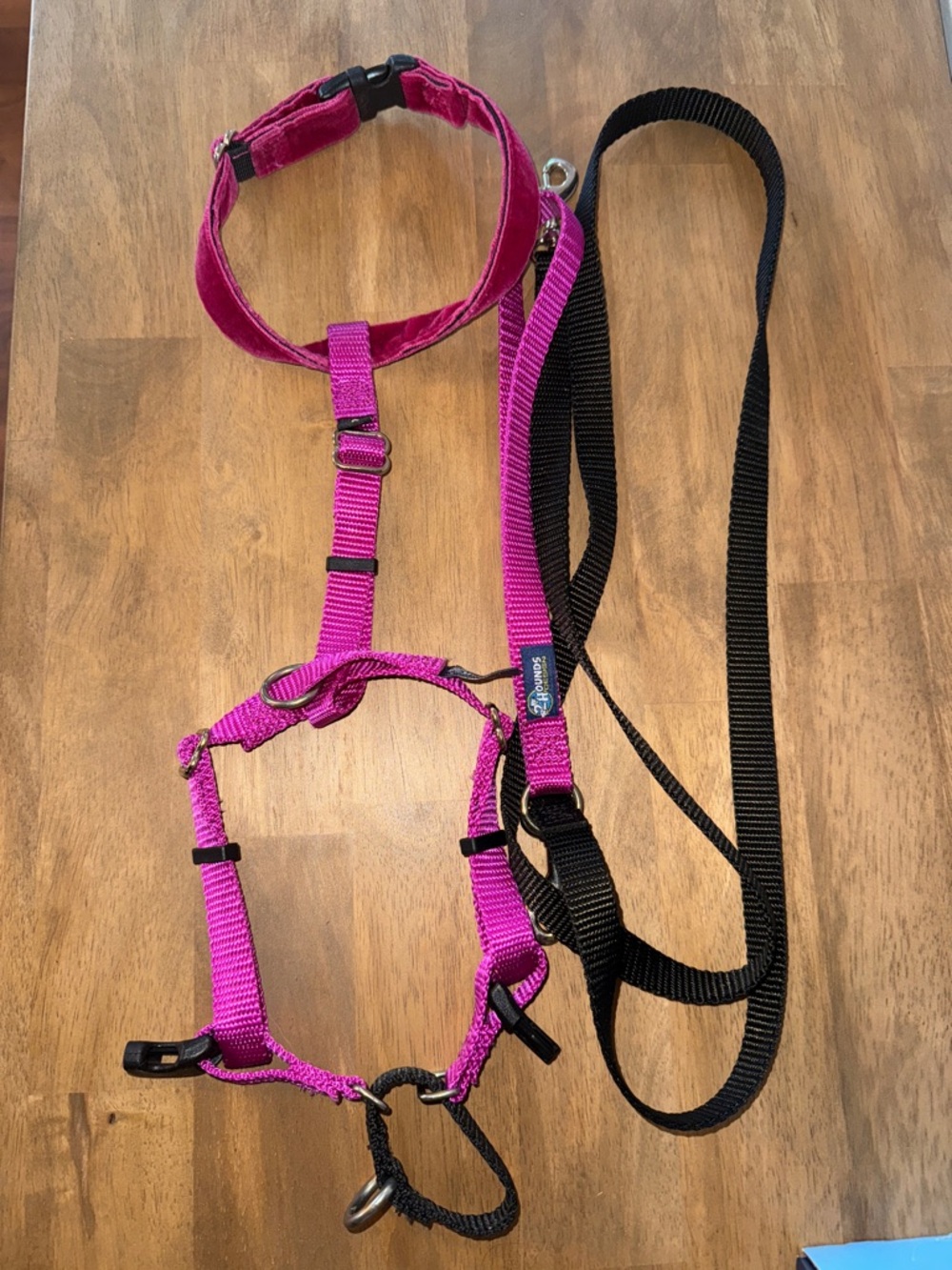 2 Hounds Design: Freedom No-Pull Harness